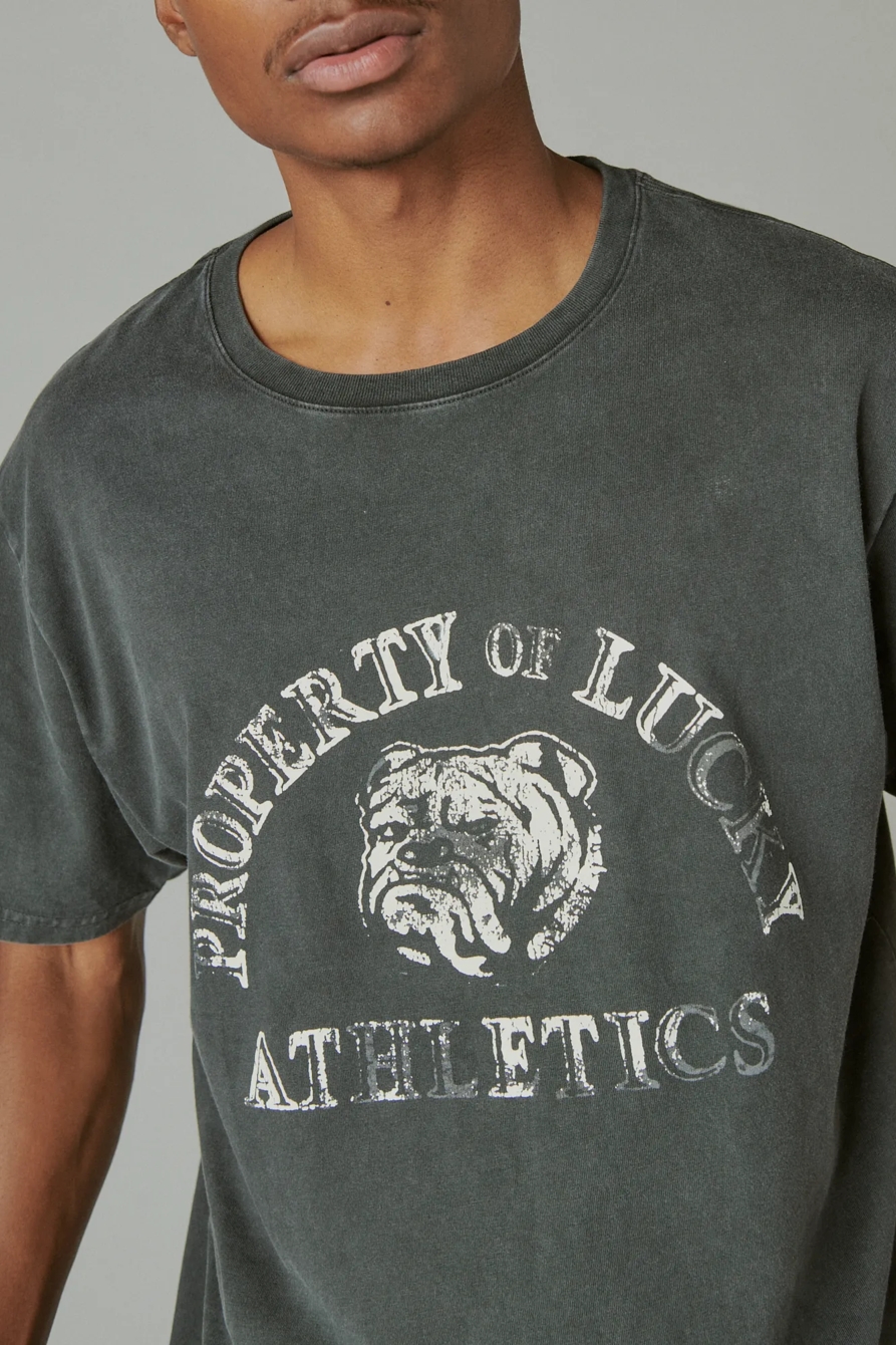 LUCKY BULLDOG GRAPHIC TEE, image 5