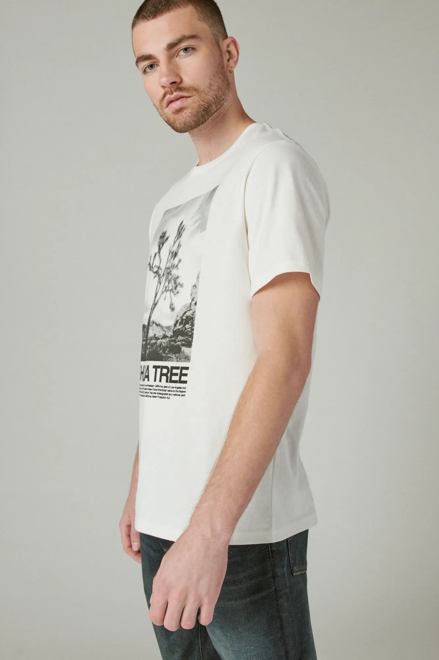 JOSHUA TREE GRAPHIC TEE, image 3