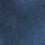 INSIGNIA BLUE