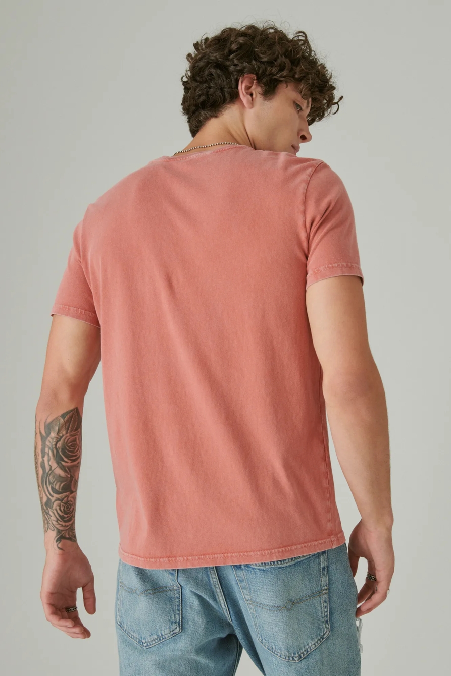 YELLOWSTONE BEAR TEE, image 3