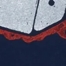 AMERICAN NAVY