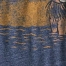 INDIE BLUE