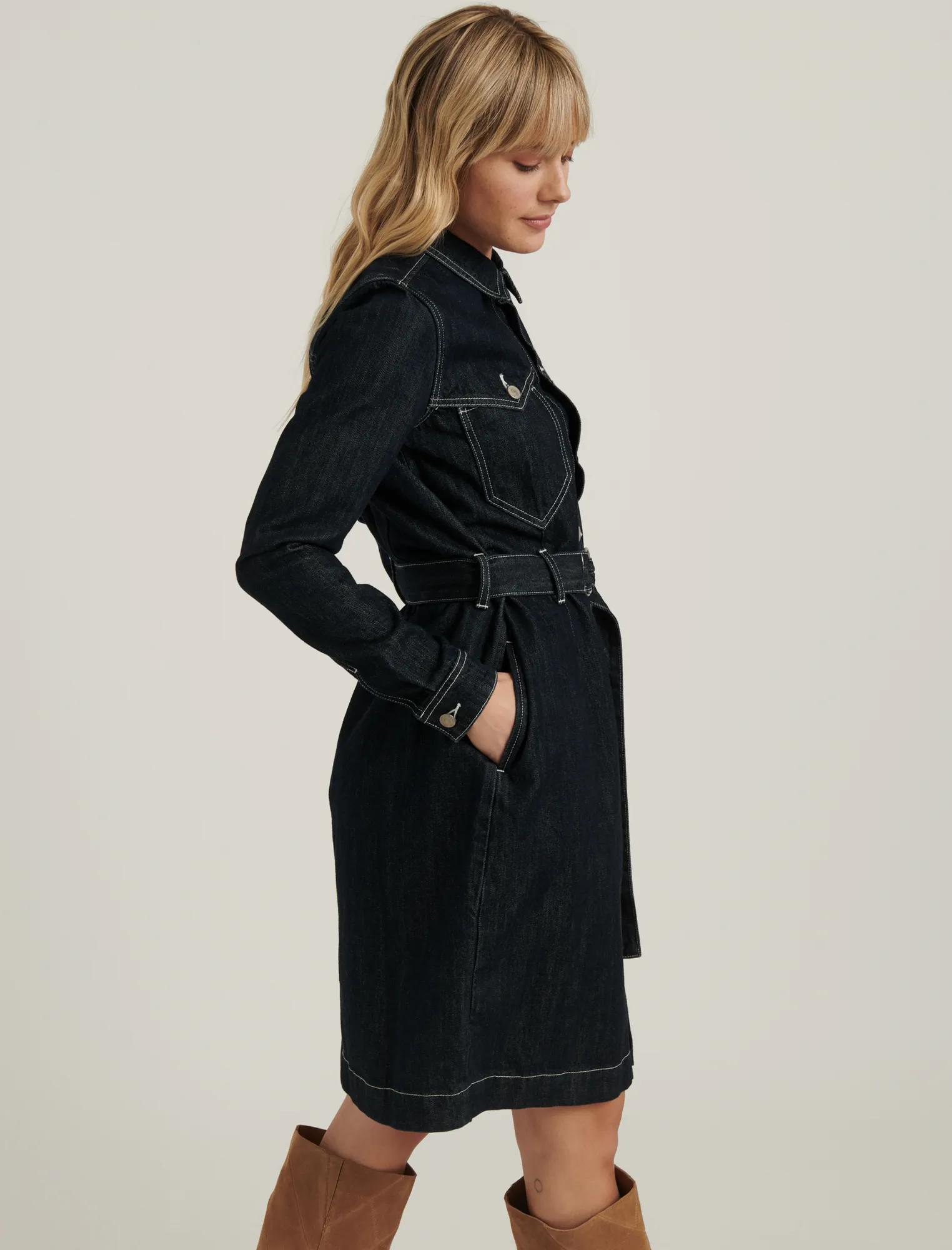 WESTERN DENIM DRESS, image 3