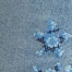 DOPPLER CT