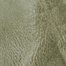 OIL GREEN
