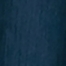 AMERICAN NAVY