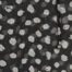 BLACK MULTI