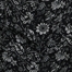 BLACK MULTI