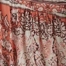 CORAL MULTI