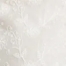 LUCKY WHITE