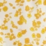 YELLOW MULTI