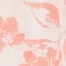 PINK MULTI
