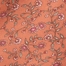 PINK MULTI