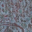 BLUE MULTI