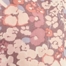 BERRY MULTI