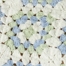 BLUE GREEN MULTI