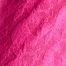 PINK PEACOCK