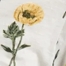 YELLOW MULTI