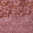 ROSE BROWN