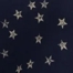 AMERICAN NAVY