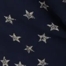 AMERICAN NAVY