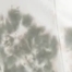 WARM TYE DYE