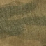 IVY GREEN