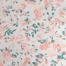 CORAL MULTI