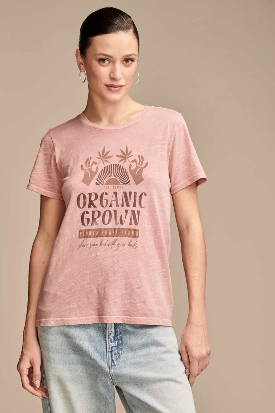 ORGANIC GROWTH CLASSIC CREW, image 2