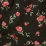 BLACK BEAUTY MULTI