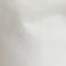 CLEAN WHITE TULIP