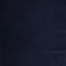 AMERICAN NAVY