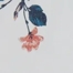 PARADISE FLORAL