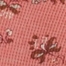 CORAL MULTI