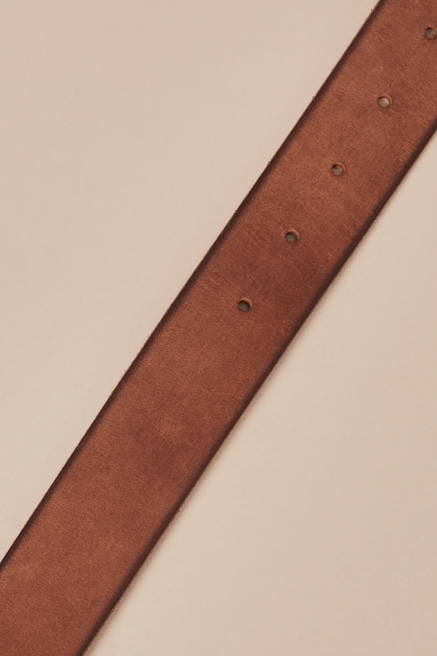 PLAQUE BUCKLE BELT, image 3