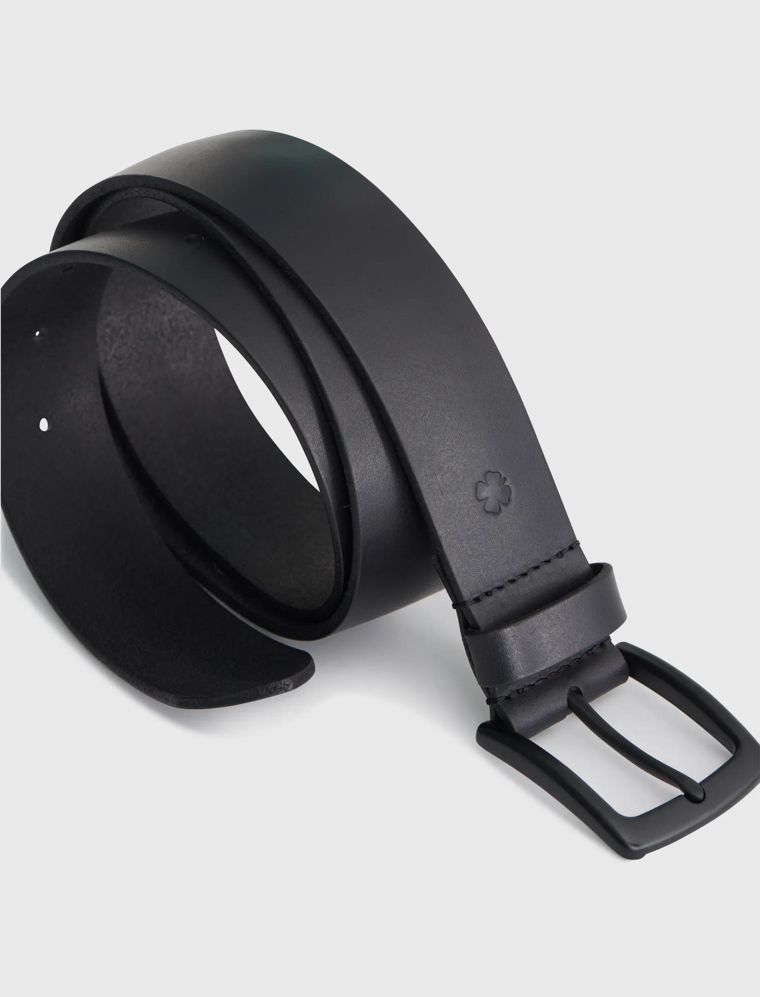 MONOCHOMATIC BELT, image 2