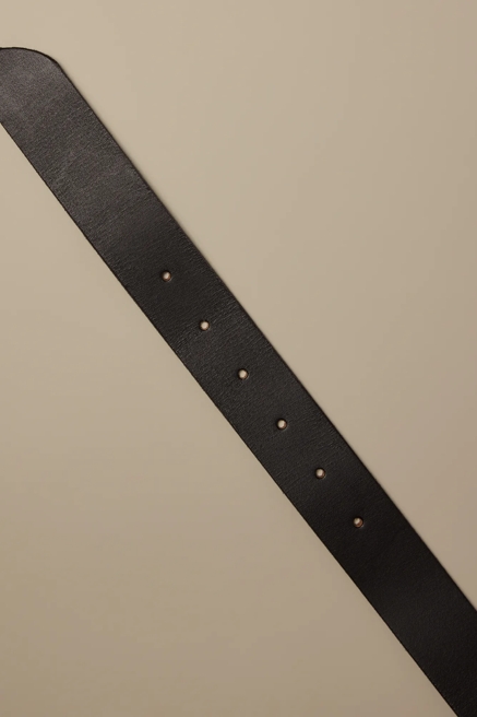 THE POINT BELT, image 2