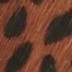 LEOPARD PRINT