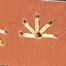 MEDIUM BROWN