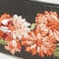MULTI