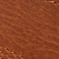 MEDIUM BROWN