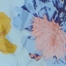 MULTI