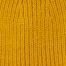 GOLDEN PALM