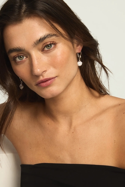 Drop Crystal Earrings, image 1