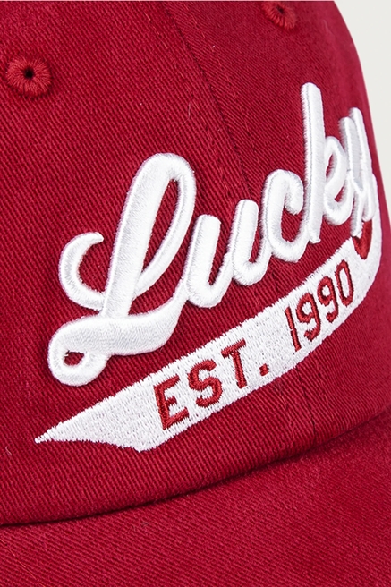 Lucky 1990 Embroidered Dad Hat, image 3