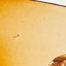 BROWN/BLACK