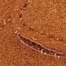 RUST BROWN