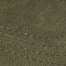 DUSTY OLIVE