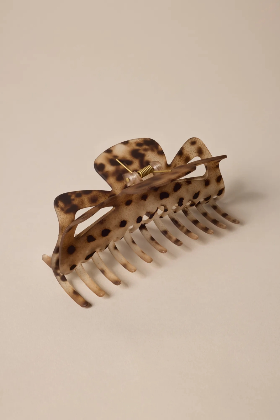 LARGE TORTOISE CLAW, image 2