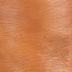 DK CAMEL01